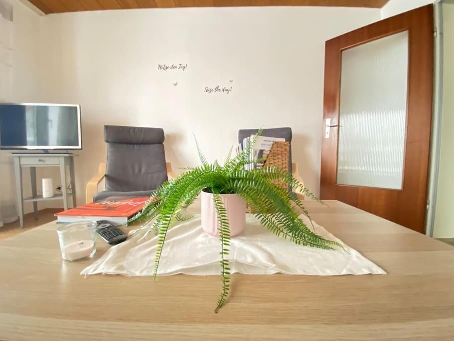 Klettgau Cozy Home In South-Germany מראה חיצוני תמונה